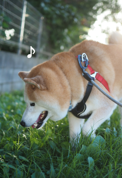 6日ブログ２