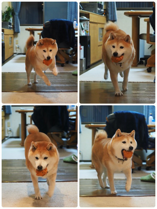 6日夕ブログ3