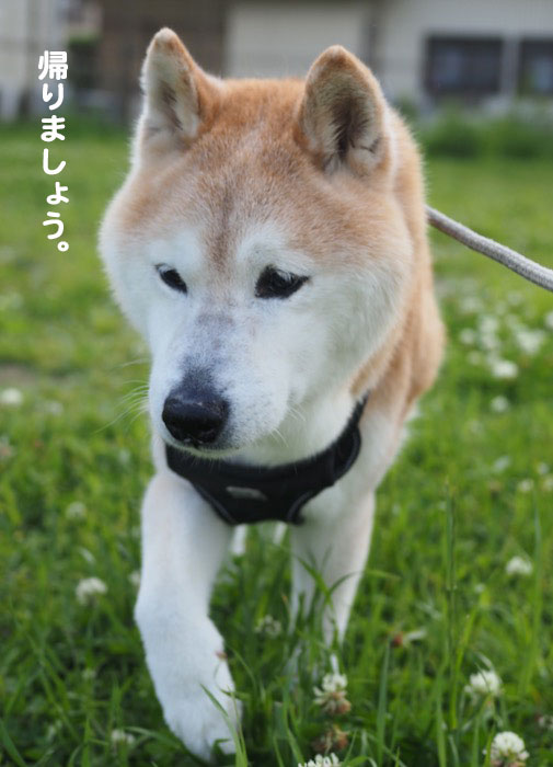 8日ブログ５