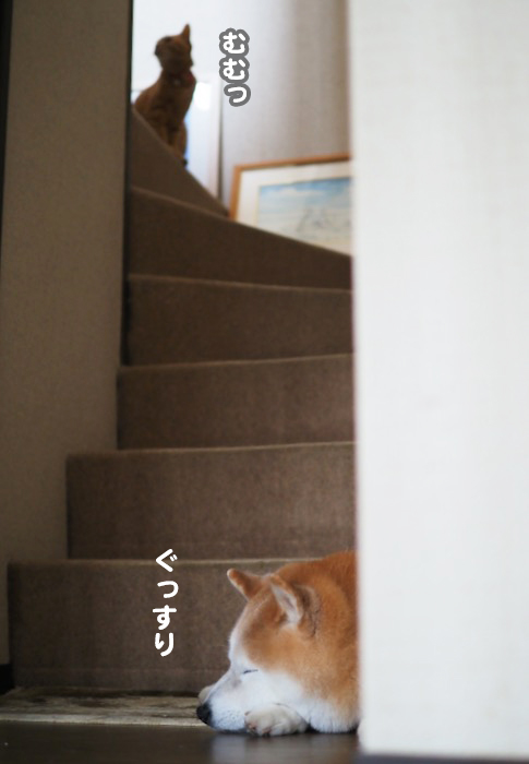 30日夕ブログ４