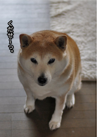 19日ブログ５.jpg