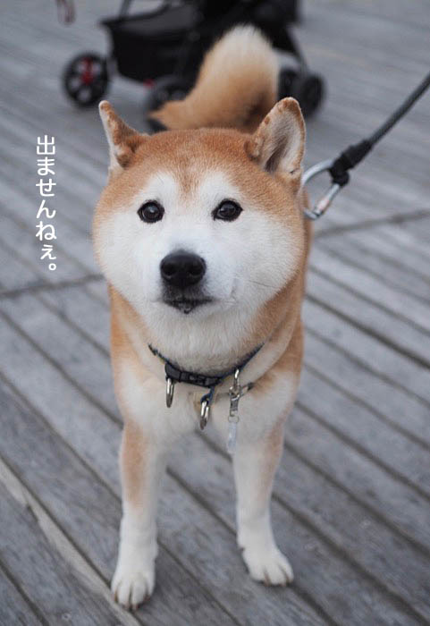 1日夜ブログ２
