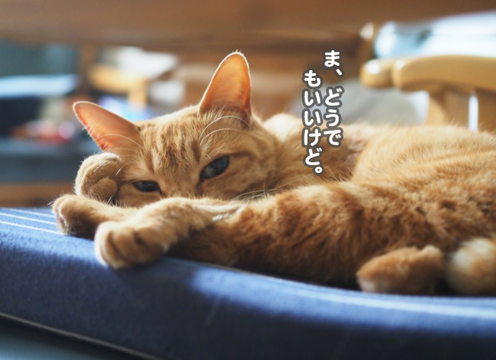 15日夕ブログ７