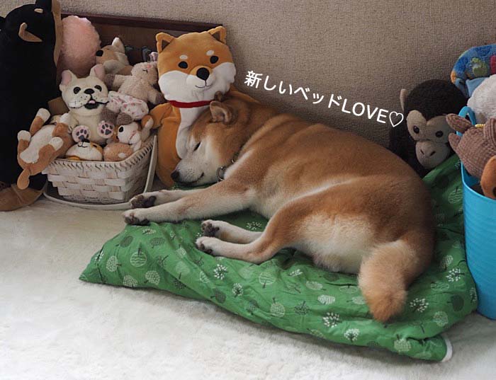 8日ブログ４