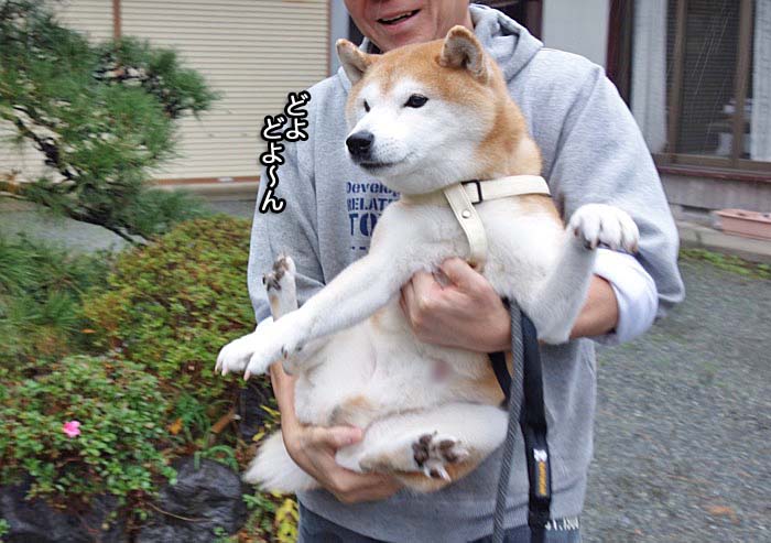 27日朝ブログ４