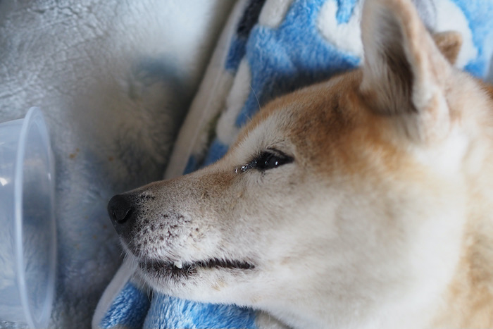 13日ブログ５