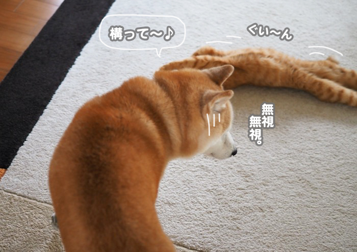 16日夕ブログ４