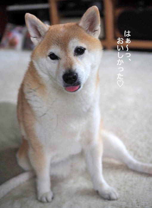 29日夜ブログ１２