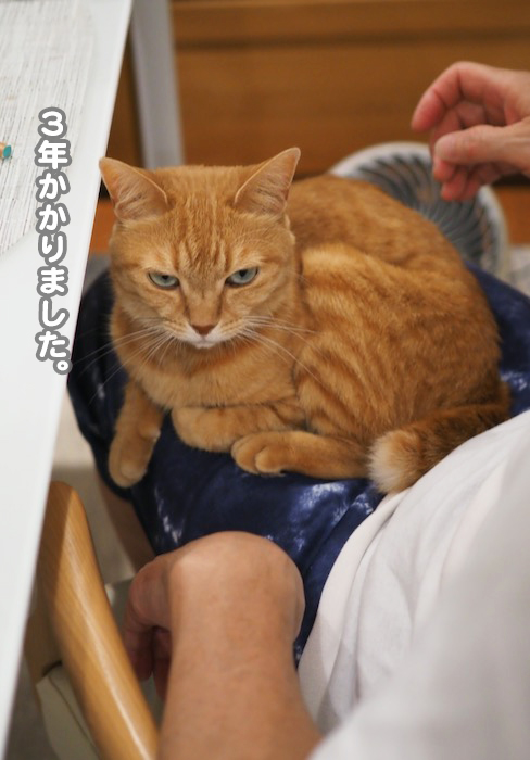 27日ブログ２