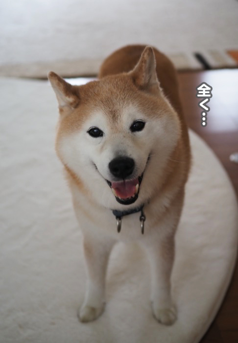17日夕ブログ１０
