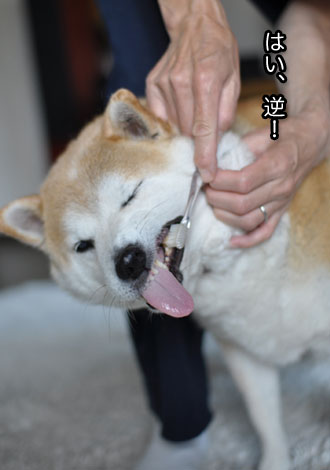 28日ブログ10.jpg