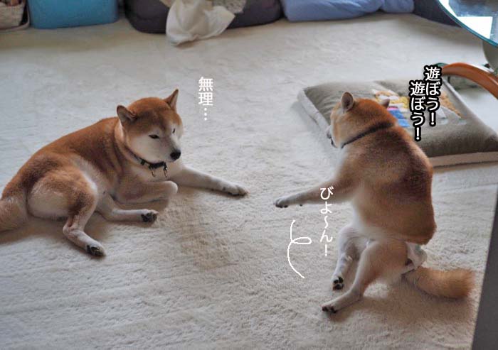 6日午後ブログ5