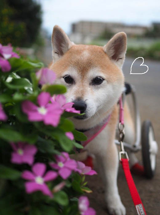 24日夜ブログ２