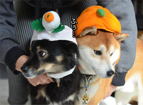 3日ブログ12.jpg