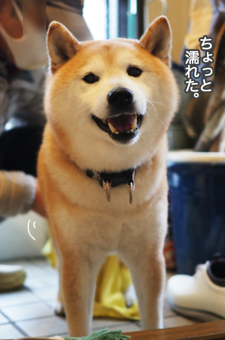 20日夜ブログ６