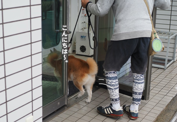 21日夕ブログ８
