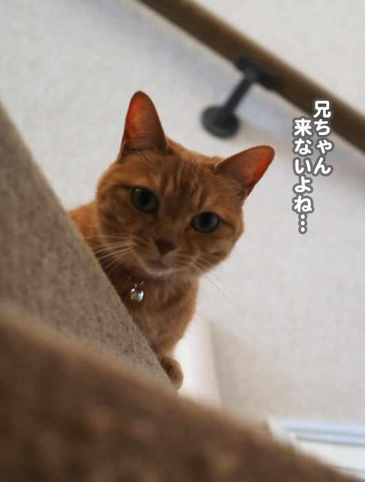 18日ブログ５
