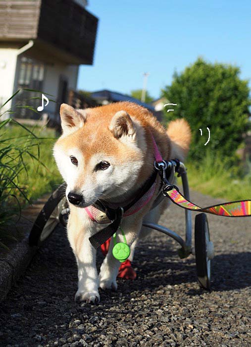 18日夜ブログ２
