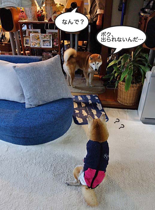 11日ブログ３