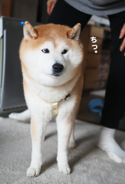 3日夕ブログ８