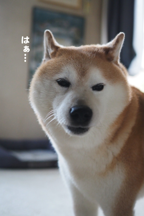 3日ブログ５