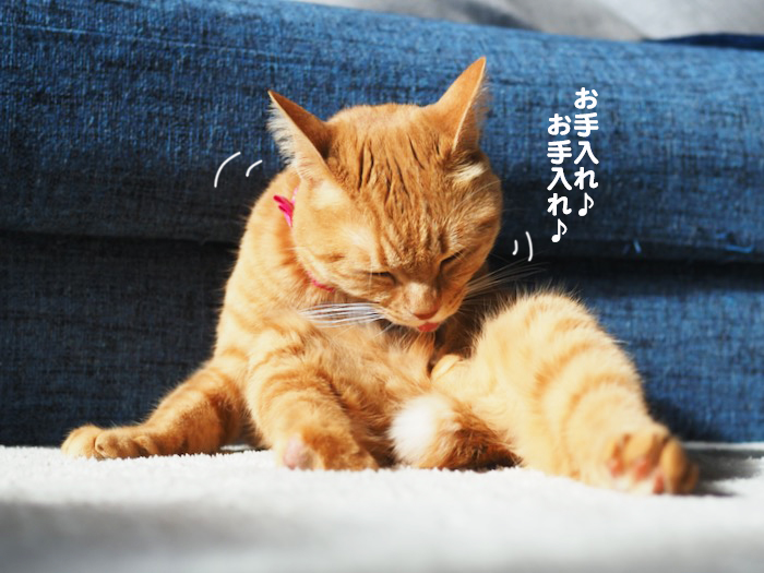 5日ブログ３