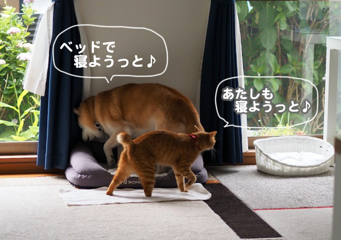 24日夕ブログ２