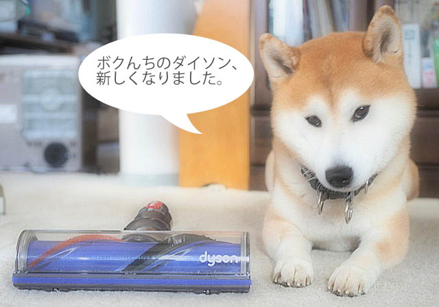 8日ブログ２