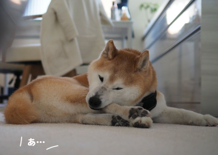 27日ブログ2