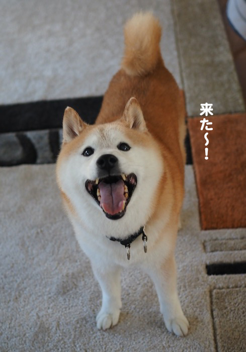 1日夕ブログ４