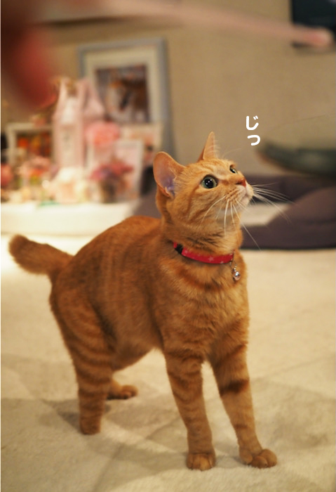 27日夕ブログ３