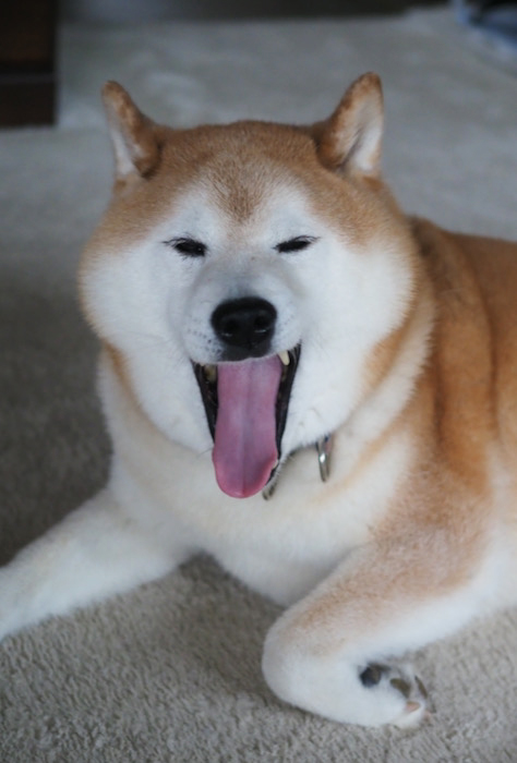 9日ブログ１