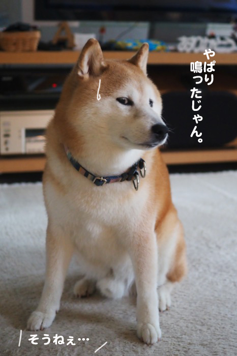 15日夕ブログ６