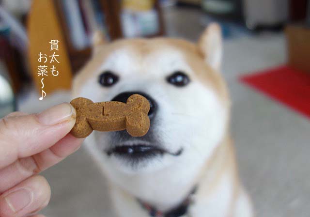 30日先ブログ5