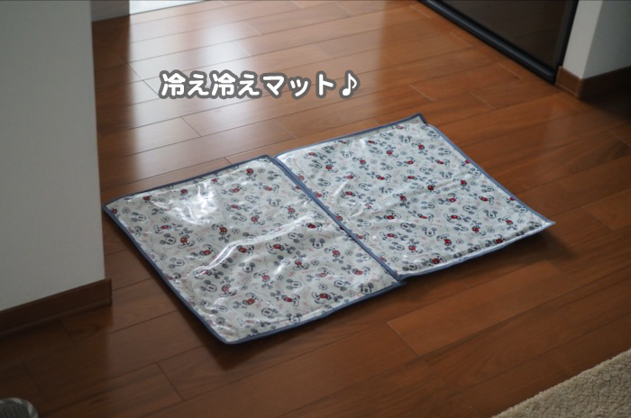 2日夕ブログ３