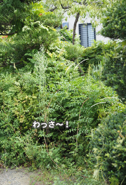 24日ブログ２
