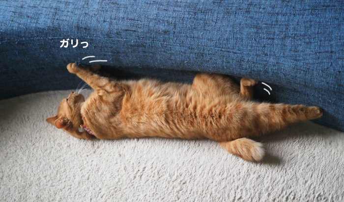 2日夕ブログ3