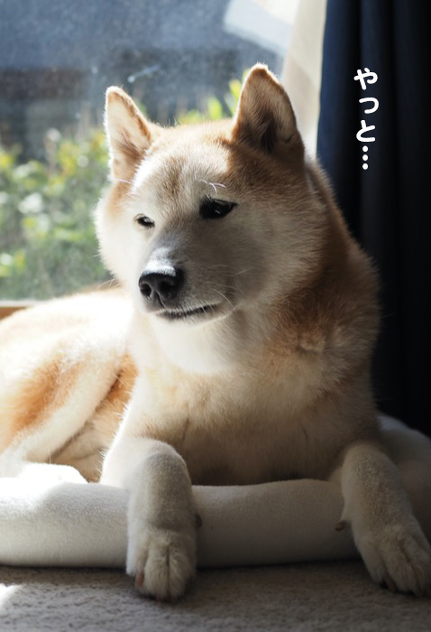 3日ブログ３