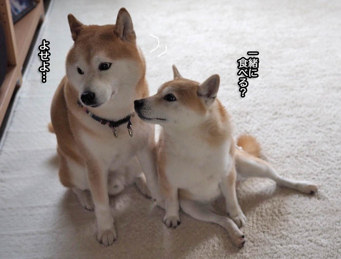 28日ブログ３