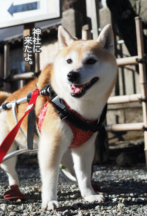 21日夜ブログ２
