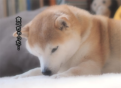 28日ブログ6.jpg
