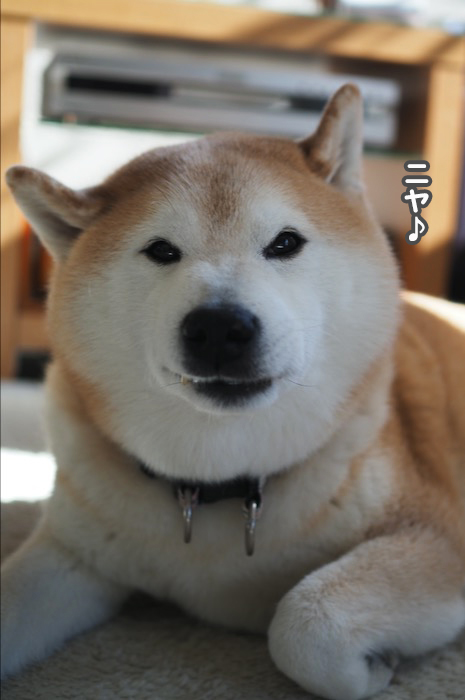 26日夕ブログ２