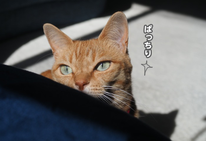 17日夕ブログ６