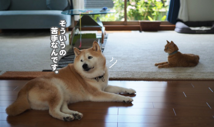 2日ブログ5