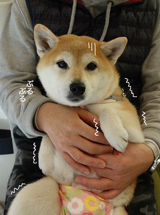 17日夜ブログ３