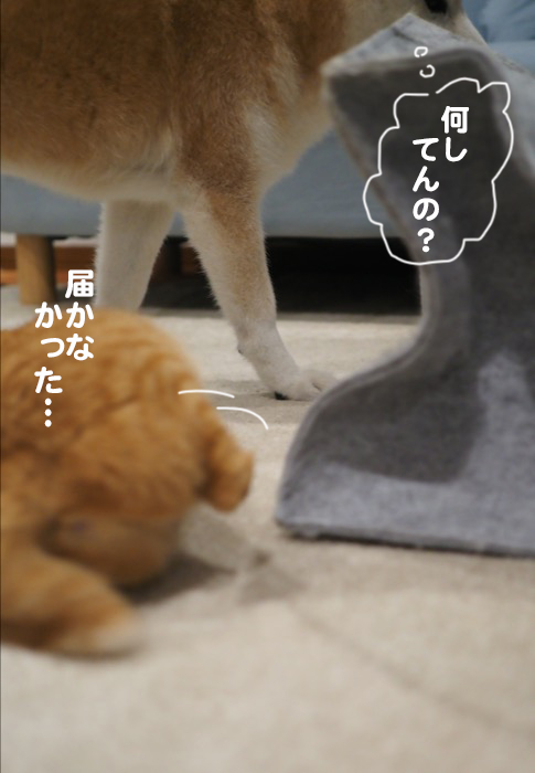 16日夕ブログ７