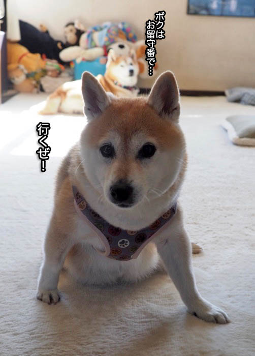 13日夜ブログ２