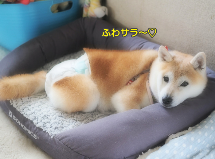 15日ブログ１