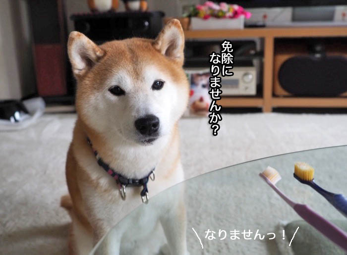 2日夜ブログ４