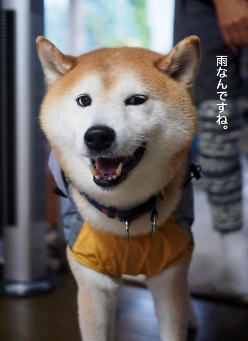 14日ブログ４
